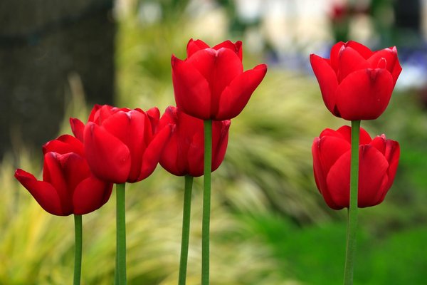 Déménagement dernier cri: quelles applications pour vous aider ?