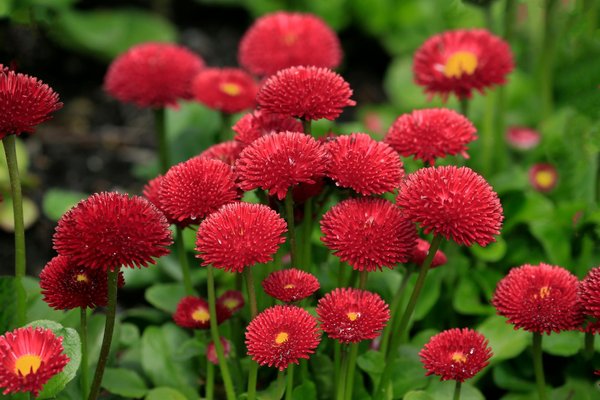 Comment organiser un déménagement en toute sérénité ?