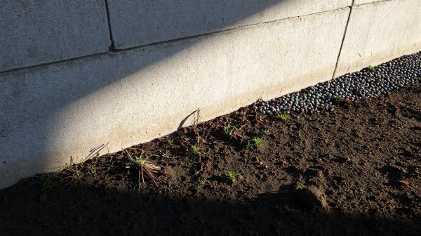 Top astuces pour assurer l'étanchéité d'un mur enterré